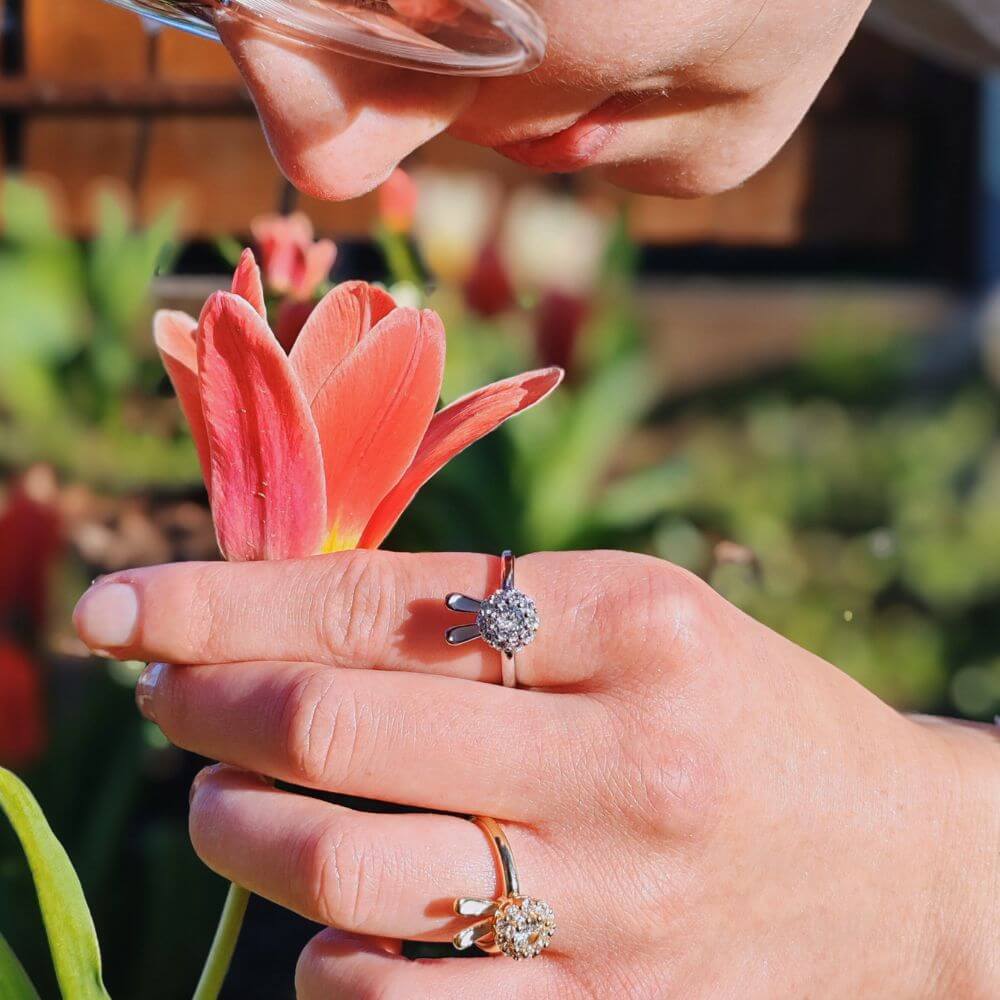 Bunny Spinner - Image 3